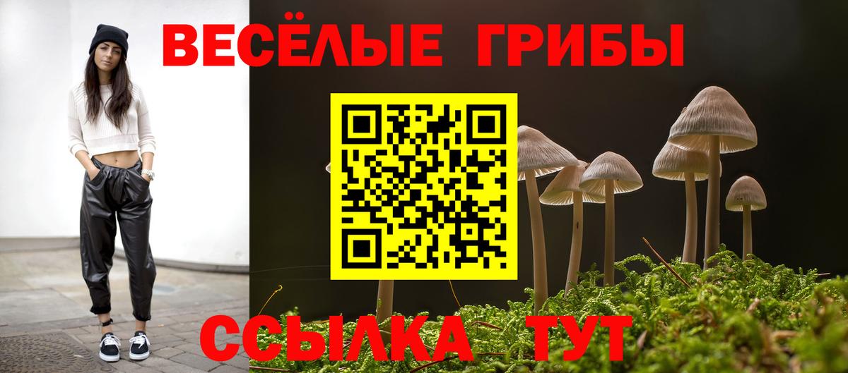 Галлюциногенные грибы мухоморы  Вход с VPN  Фрязино 